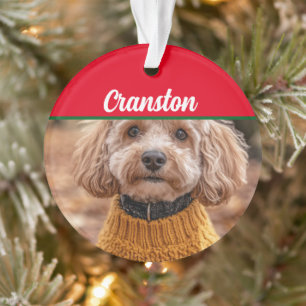 Papais noeis Cockapoo Cão com Nome e Ornamento de
