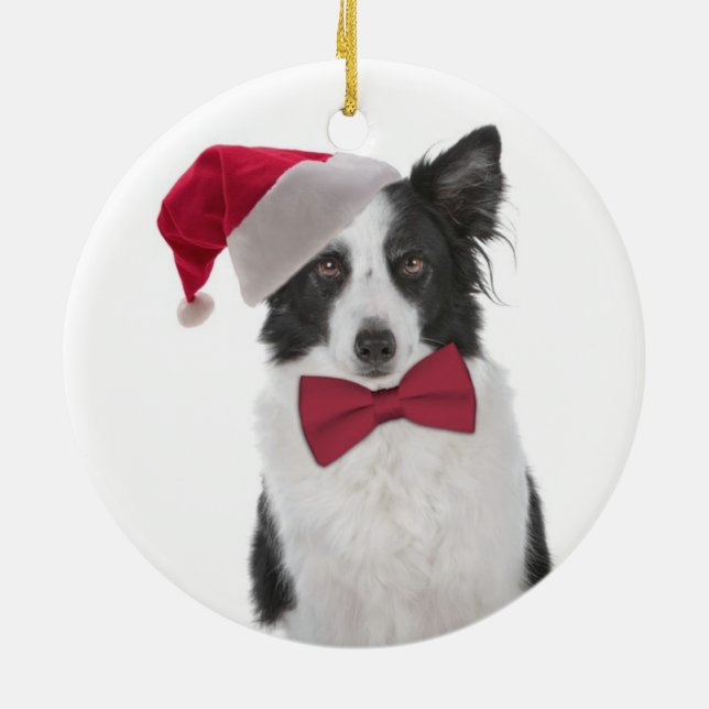 Papais noeis Collie Enfeites de natal (Traseira)