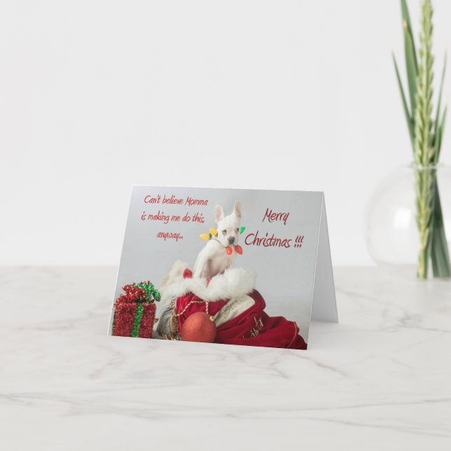 Papais noeis de Natal Feliz Cartão de Bulgue Franc (Frente)