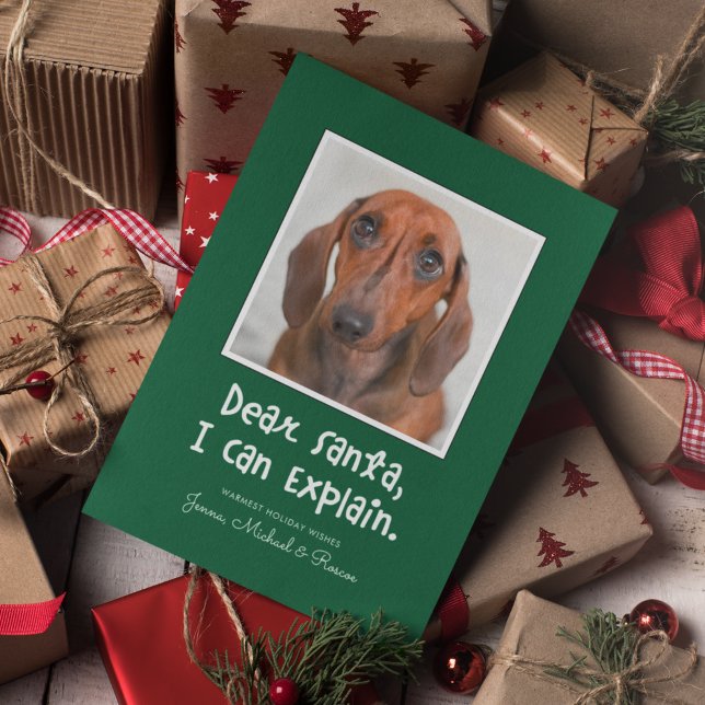 Papais noeis QUE POSSO EXPLICAR Adicionar Sua Foto (Criador carregado)