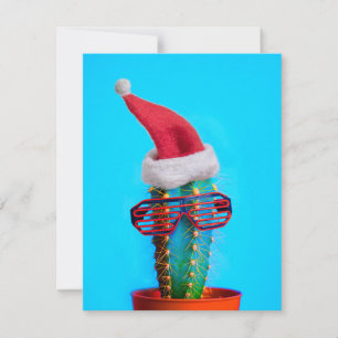 Papais noeis tropicais Cactus