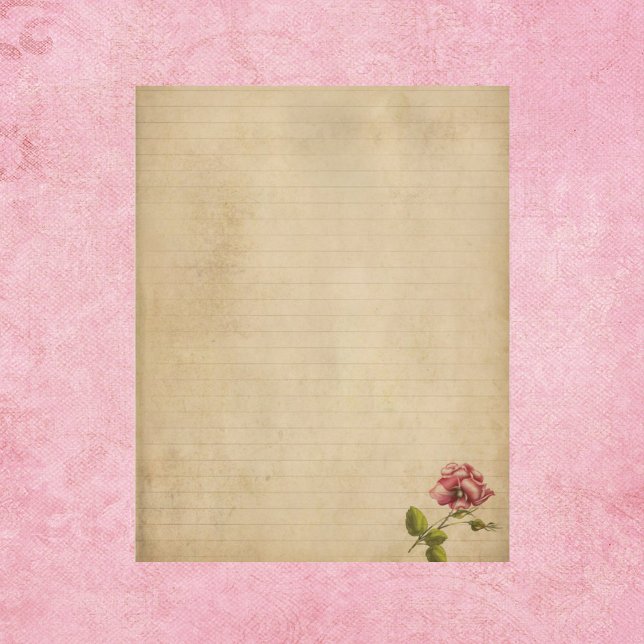 Papel Antigo com Rosa Rosa (Criador carregado)