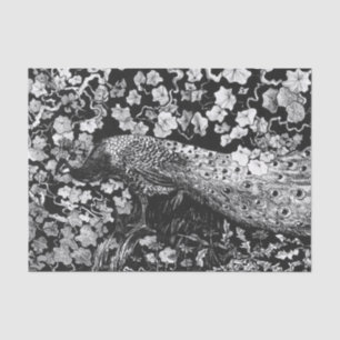 Papel branco e preto