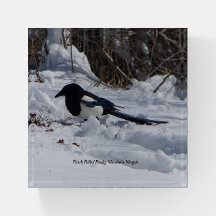 Papel-cartão Black Billed Mountain