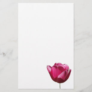 Papel cor-de-rosa dos artigos de papelaria da
