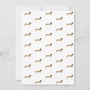 Papel Dachshund