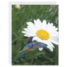 Papel de álbum de recortes temático de beija-flor