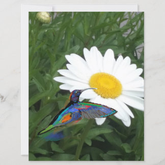 Papel de álbum de recortes temático de beija-flor
