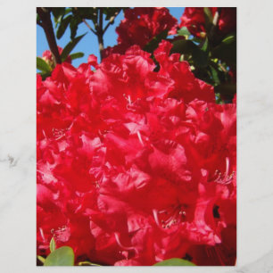 Papel de bofetada Red Rhodies Verão