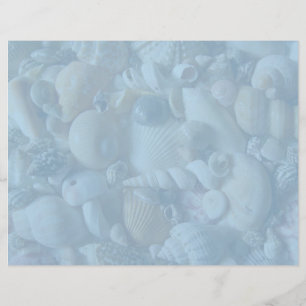 Papel de cabeçalho do Seashell do vazio do azul d