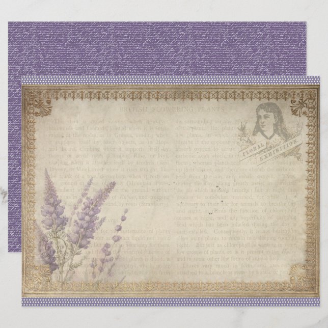 Papel de Caderno Lavanda Vintage (Frente/Verso)