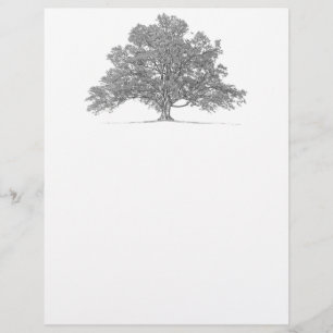 Papel de carta de Árvore de Oak Genealogia Persona