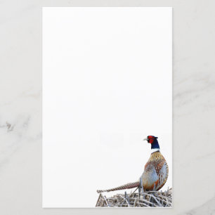 Papel de Carta de Fotos de Faisão com Alças