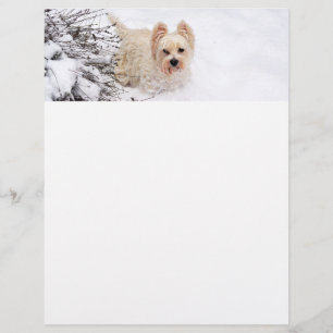Papel de Carta Fotográfica do Cão de Neve