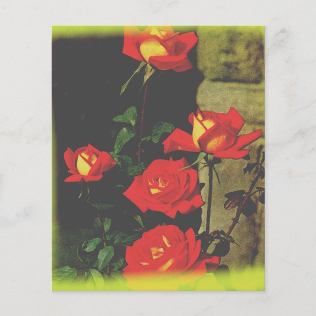 Papel de carta selvagem (Frente)