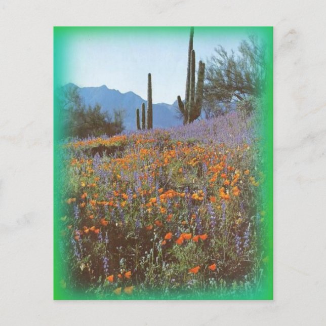 Papel de carta Vintage Cactus (Frente)