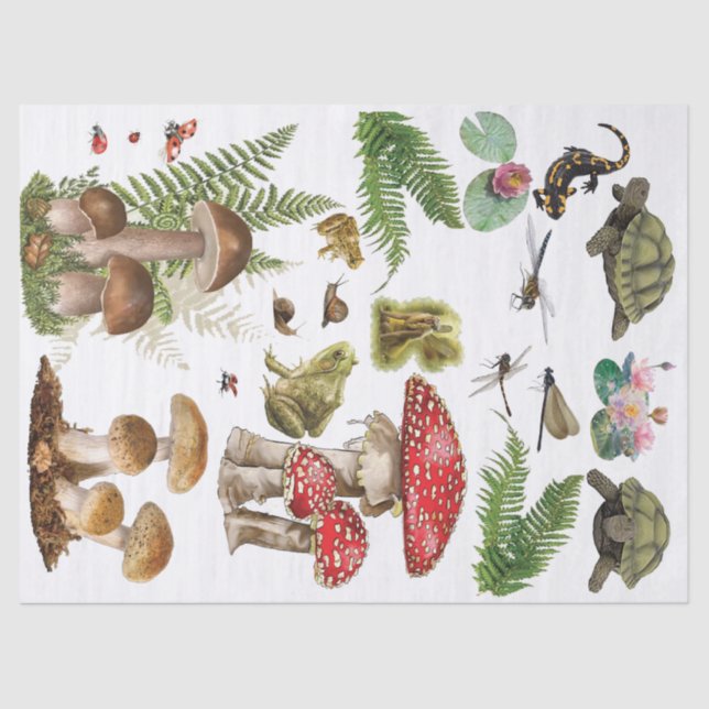 Papel de decodificação de banheiras (Frente )