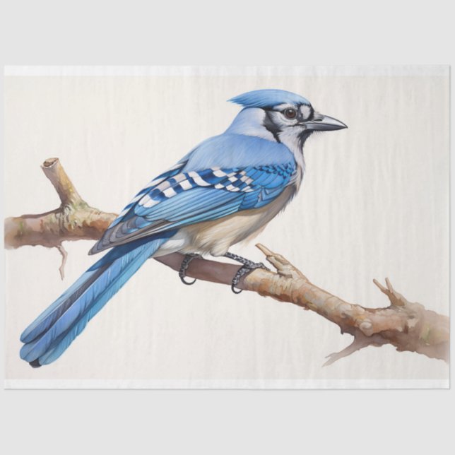 Papel de Decoupage Azul - Jay 3 (Frente )