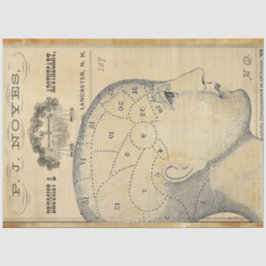 Papel de Decoupage de Mobiliário Apothário