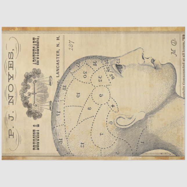 Papel de Decoupage de Mobiliário Apothário (Frente )