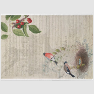 Papel de Decoupage de Mobiliário Patriótico