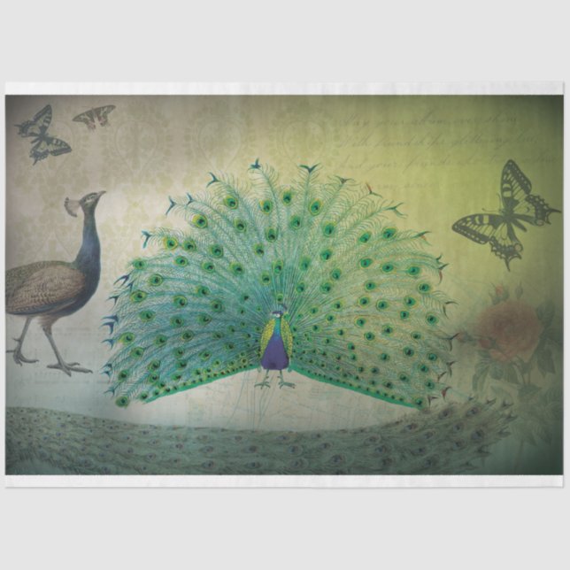 Papel de Decoupage de Peacock (Frente )