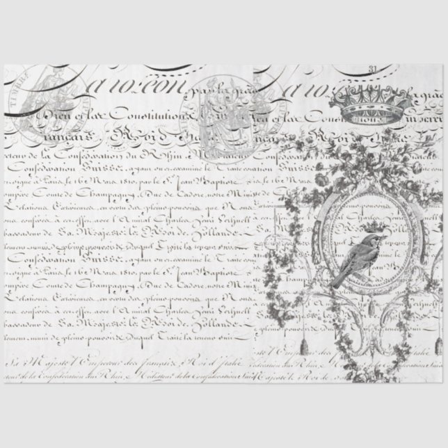 Papel de Decoupage de Script de Pássaro Paisagem (Frente )