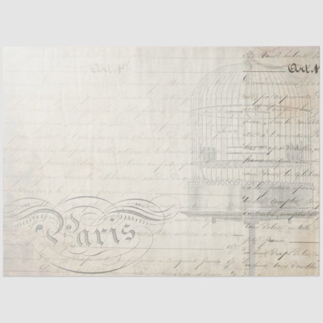 Papel de Decoupage do Companion Script de Pavock (Frente )