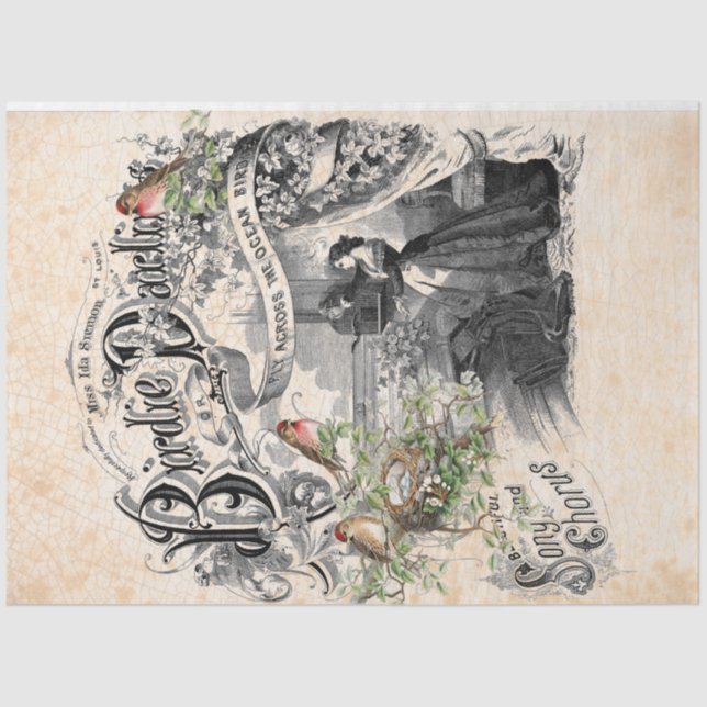 Papel de Decoupage do Querido Birdie (Frente )