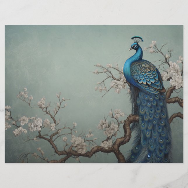 Papel de Diário Pavock Scrapbook (Frente)