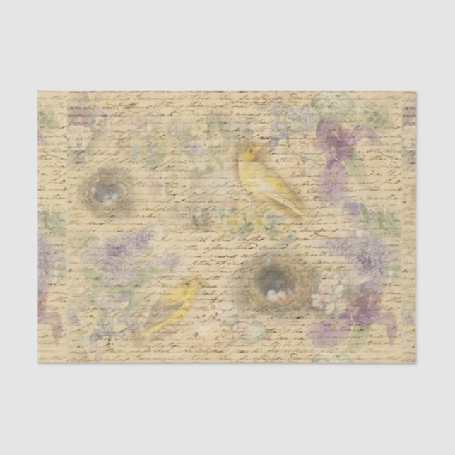 Papel de dissociação das aves Páscoas amarelas (Frente )