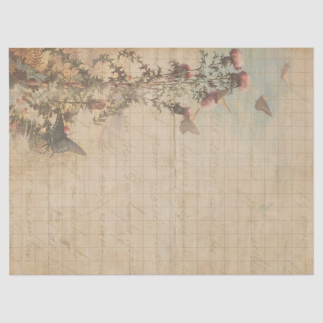 Papel de dissociação das borboletas e pontas (Frente )