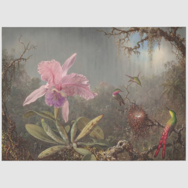 Papel de dissociação de aves e íris (Frente )