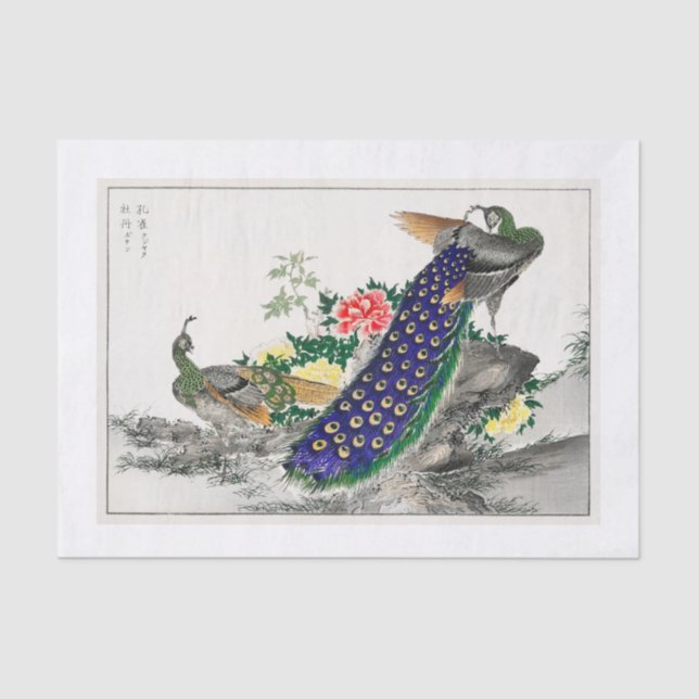 Papel de dissociação de peacock (Frente )