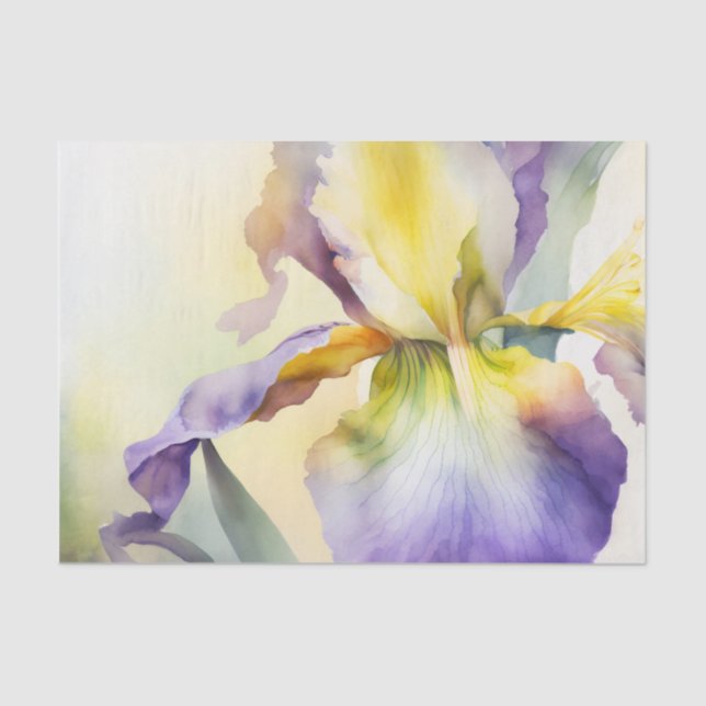 Papel de dissociação IRIS (Frente )