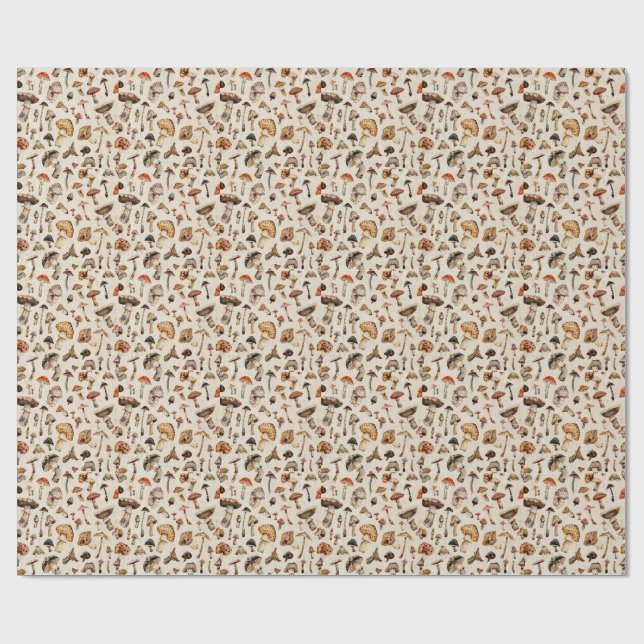 Papel de embrulho (Aberto)