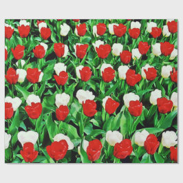 Papel de embrulho