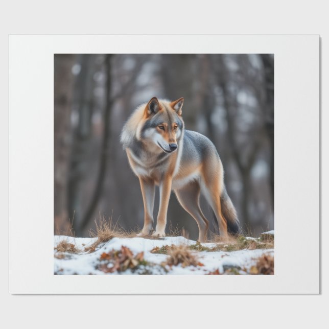 Papel de embrulho  (Aberto)