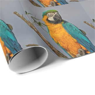 Papel de embrulho azul Golide