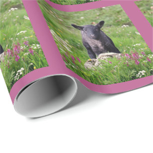 Papel de embrulho Baa Baa Black Sheep