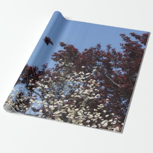 Papel de embrulho branco e azul vermelho da