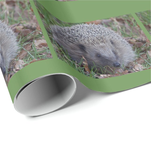 Papel de embrulho com espinhos (Ponta do rolo)