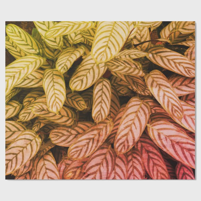 Papel de Embrulho com Padrão de Folhas Botânicas V (Aberto)