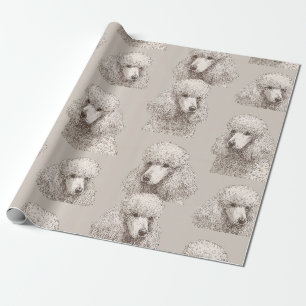 Papel de embrulho com retrato clássico de Poodle b