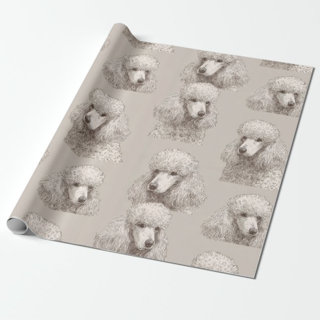 Papel de embrulho com retrato clássico de Poodle b (Desenrolado)