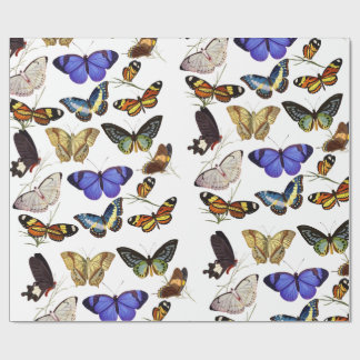Papel de Embrulho de Borboletas