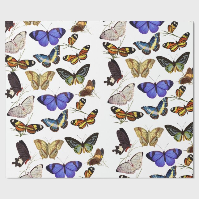 Papel de Embrulho de Borboletas (Aberto)