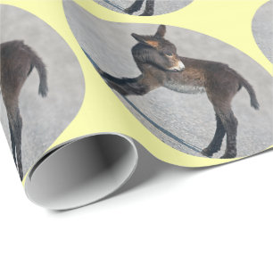 Papel de embrulho de burro
