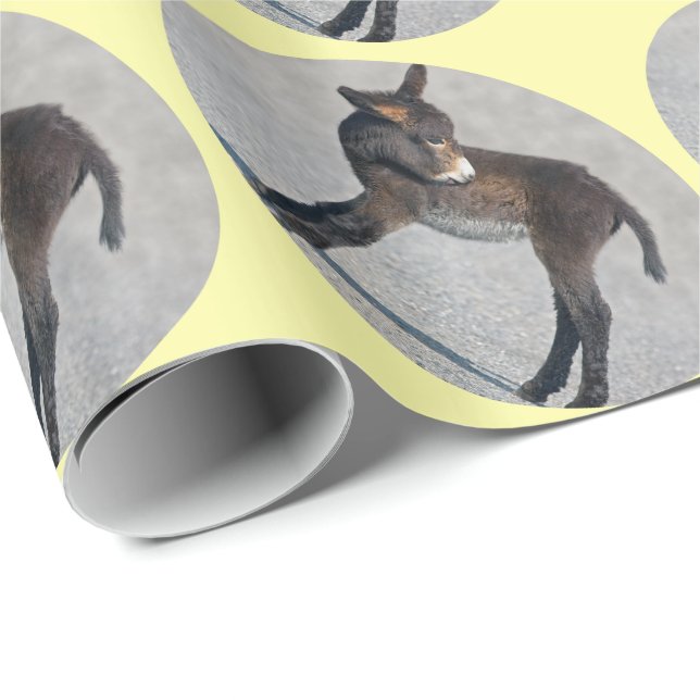 Papel de embrulho de burro (Ponta do rolo)