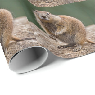 Papel de embrulho de cão da pradaria curioso